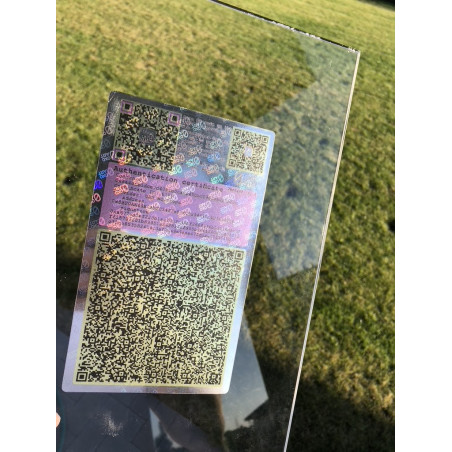 Blockchain holo elementas (Skaitmeninis QR kodas)
